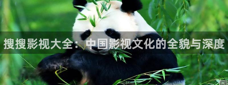 yy6080新视觉影视大全网：搜搜影视大全：中国影视文化的全貌与深度