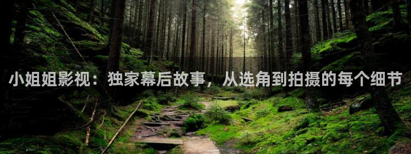 yy6080新视觉影视影院：小姐姐影视：独家幕后故事，从选角到拍摄的每个细节
