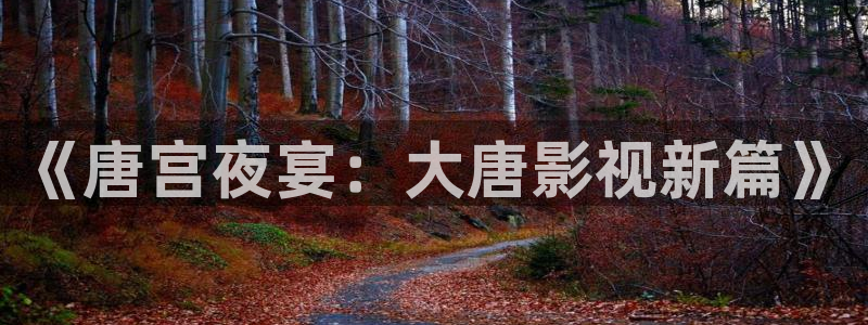 未来影院6080新视觉：《唐宫夜宴：大唐影视新篇》