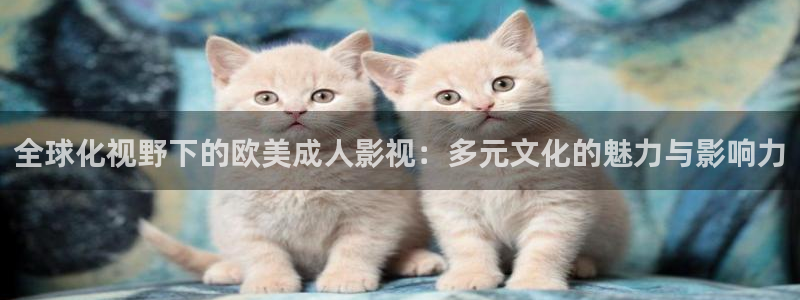 新视觉理论电影：全球化视野下的欧美成人影视：多元文化的魅力与影响力