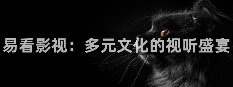 6080新视觉理论片免费观看：易看影视：多元文化的视听盛宴