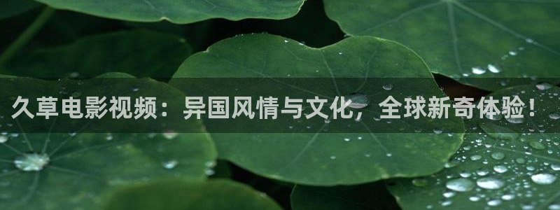 www.yy6080新视觉影院：久草电影视频：异国风情与文化，全球新奇体验！