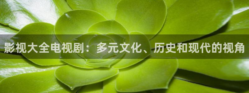 6080新视觉理论片大全：影视大全电视剧：多元文化、历史和现代的视角
