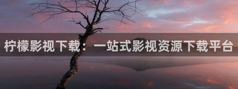 6080新视觉福利：柠檬影视下载：一站式影视资源下载平台
