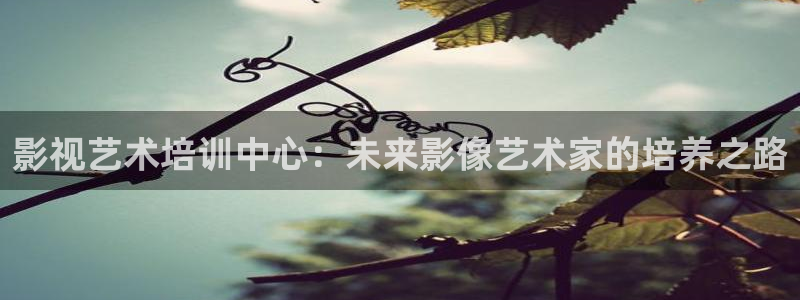 6080新视觉影院秋霞电影：影视艺术培训中心：未来影像艺术家的培养之路