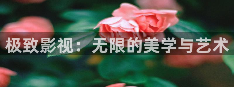 6080新视觉yy午夜：极致影视：无限的美学与艺术