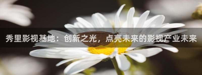 6080新视觉私人影院：秀里影视基地：创新之光，点亮未来的影视产业未来